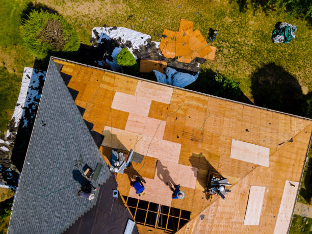 Roof Waterproofing Services in Paradise Hills, NM